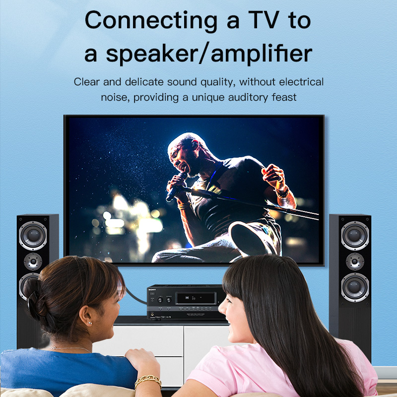 CHOSEAL RCA-Kabel Digitales Ko – Audio Home Cinema Bewertung und Preis